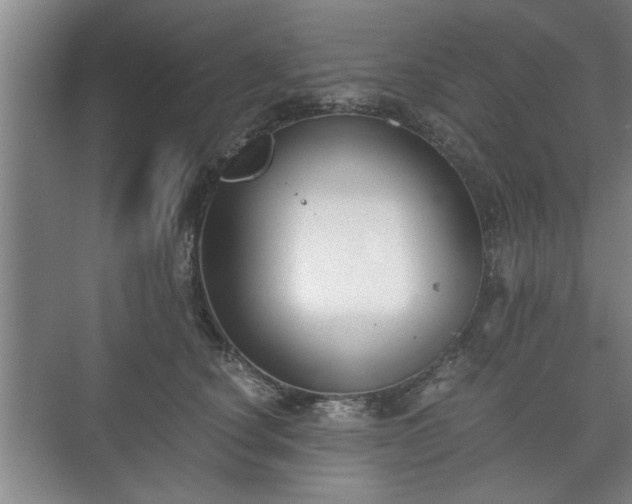 X0000073410660200608041000