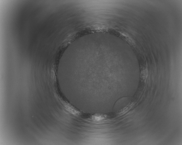 X0000073410662200608041000