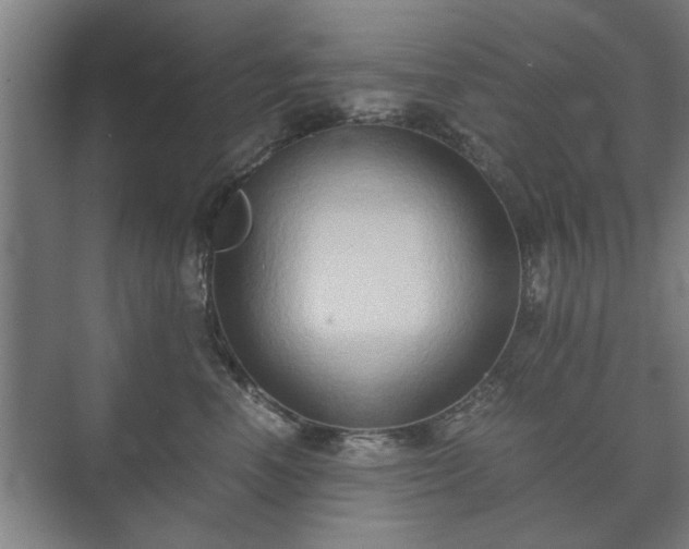 X0000073410666200608041000