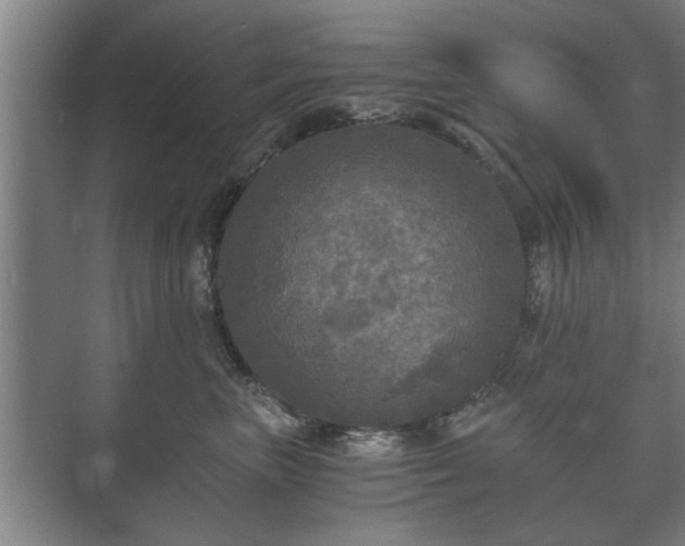 X0000073410667200608041000