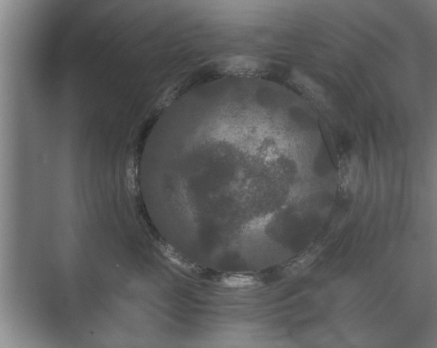 X0000073410669200608041000