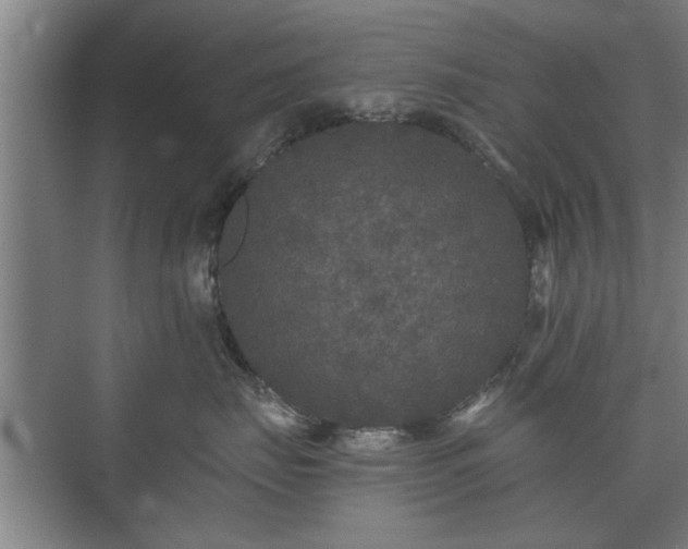 X0000073410671200608041000