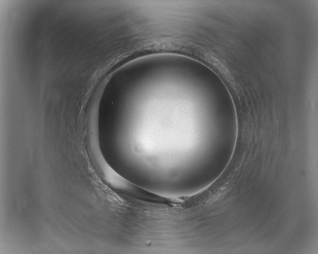 X0000073410673200608040959