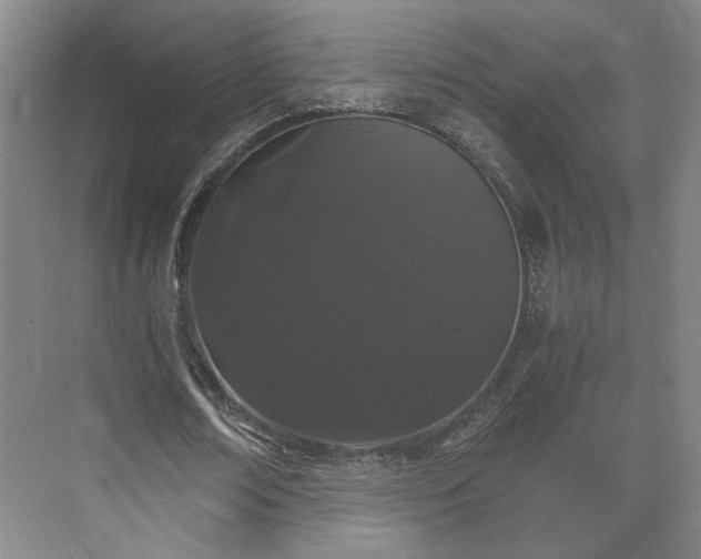 X0000073410674200608040959