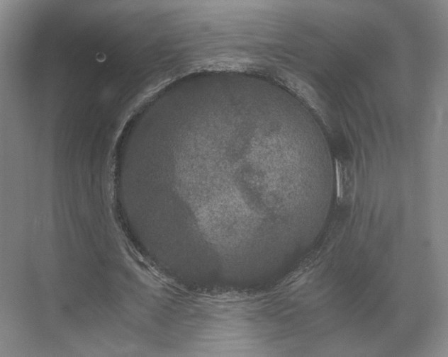 X0000073410675200608040959