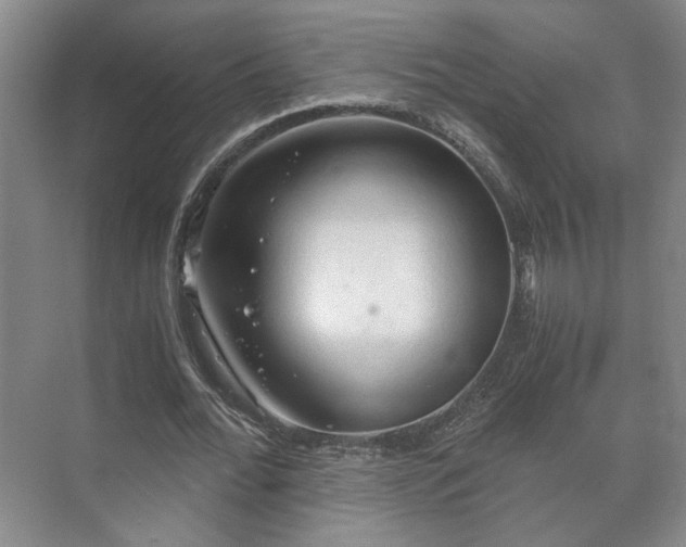 X0000073410676200608040959