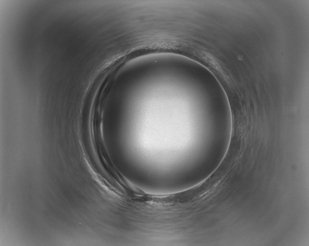 X0000073410677200608040959