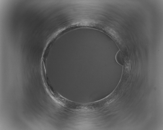 X0000073410678200608040959