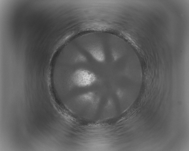 X0000073410679200608040959