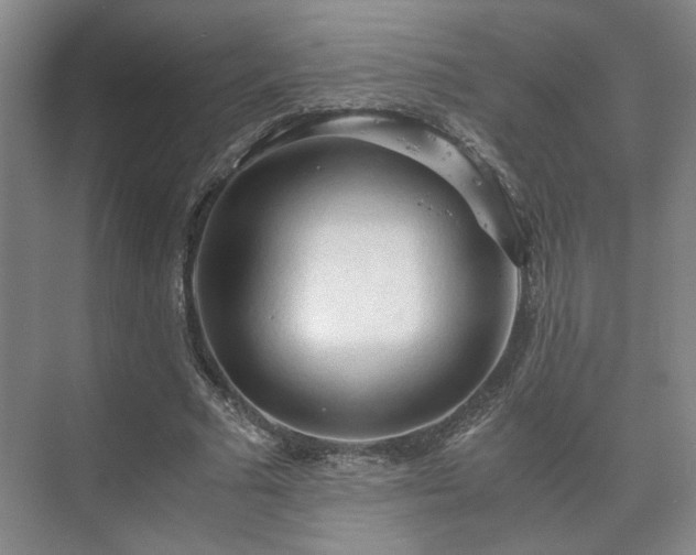 X0000073410681200608040959