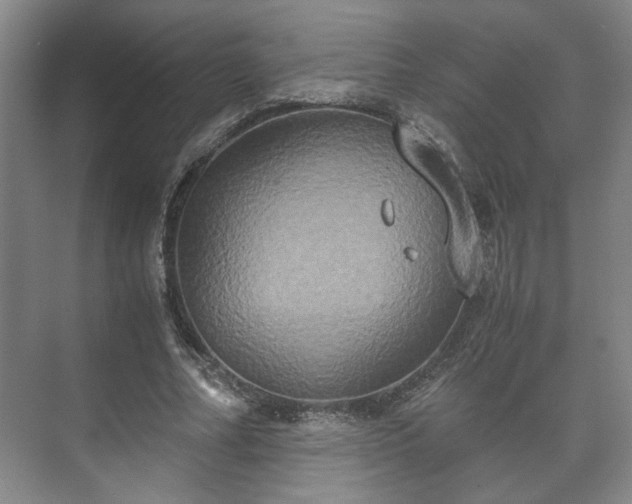 X0000073410682200608040959