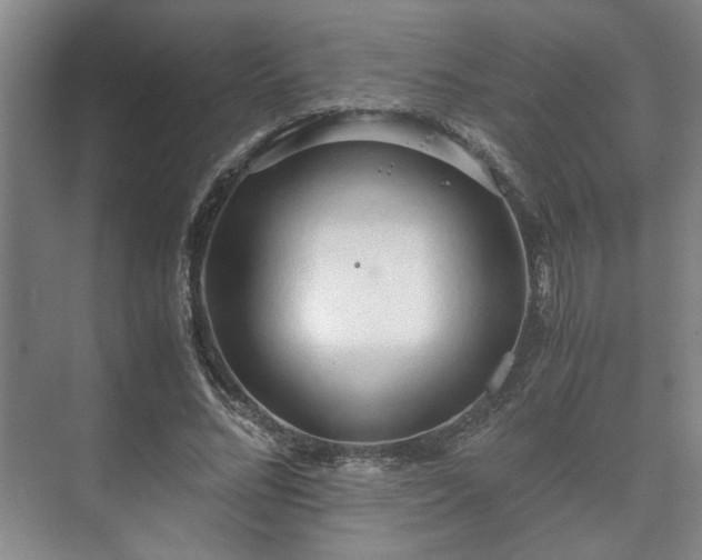 X0000073410684200608040959