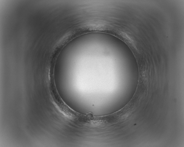 X0000073410686200608040959