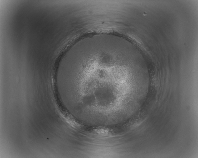 X0000073410687200608040959