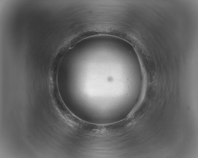 X0000073410688200608040959