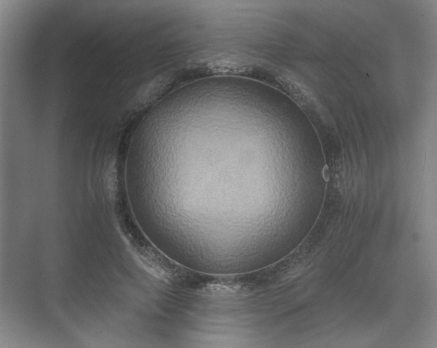 X0000073410690200608040959