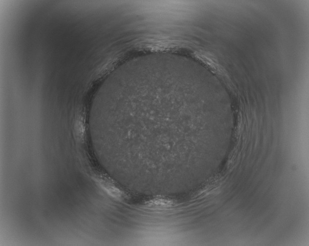 X0000073410691200608040959