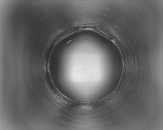 X0000073410692200608040959