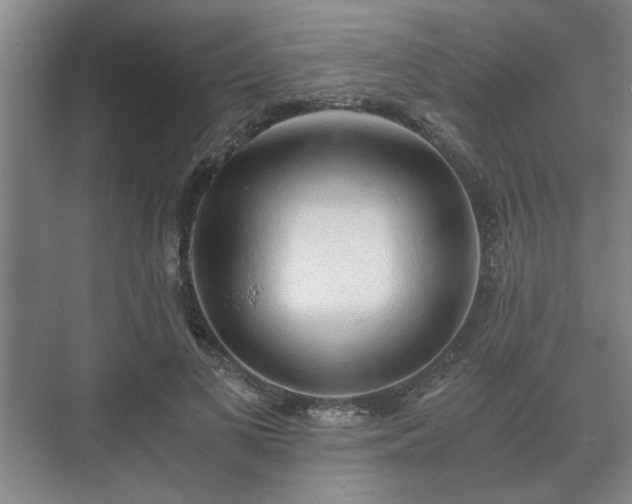 X0000073410693200608040959