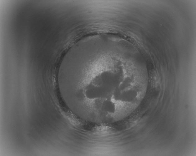 X0000073410695200608040959