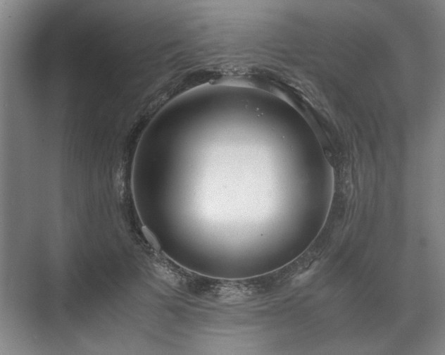 X0000073410697200608040959