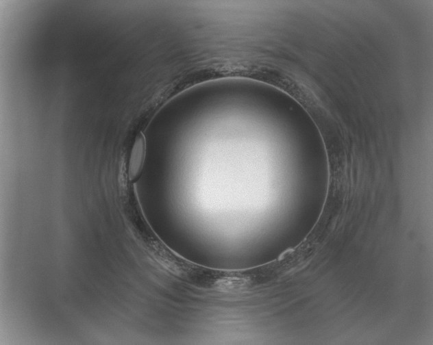 X0000073410700200608040958