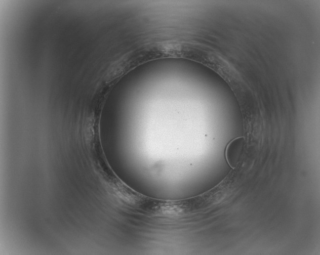 X0000073410702200608040958