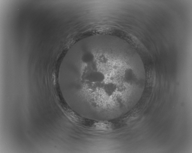 X0000073410703200608040958