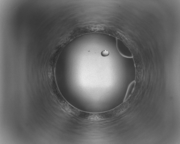 X0000073410704200608040958