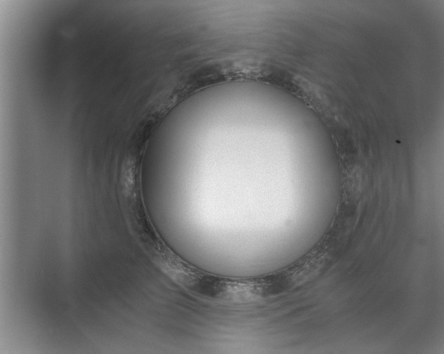 X0000073410709200608040958