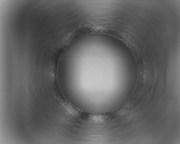 X0000073410710200608040958