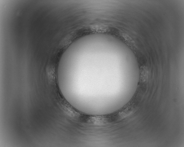 X0000073410713200608040958