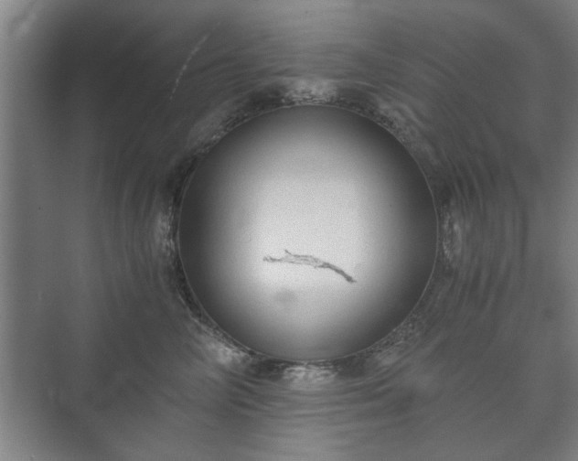 X0000073410714200608040958