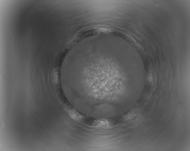 X0000073410715200608040958