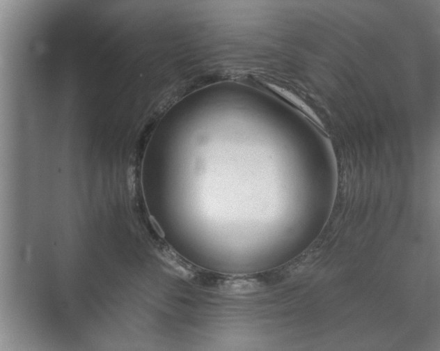 X0000073410716200608040958