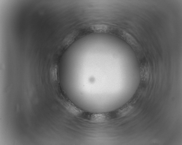 X0000073410717200608040958