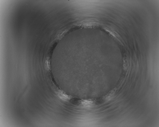 X0000073410718200608040958