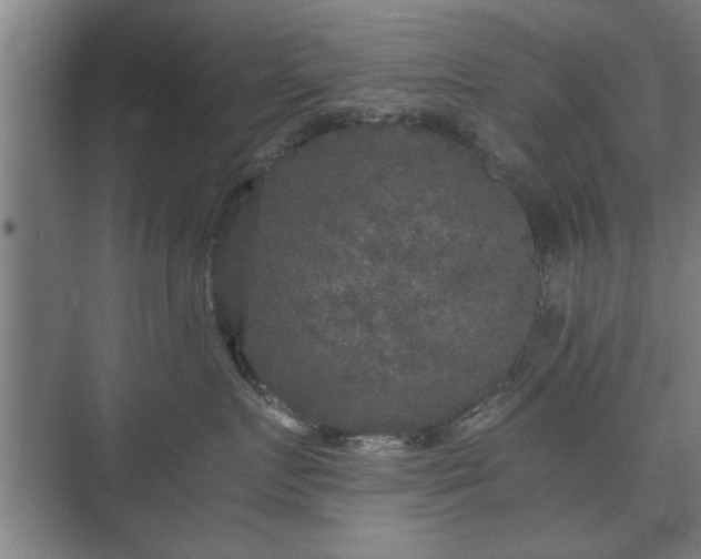 X0000073410719200608040958