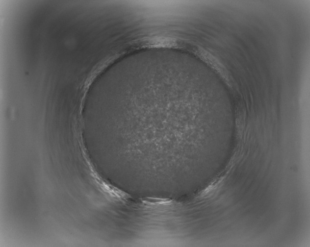 X0000073410721200608040957