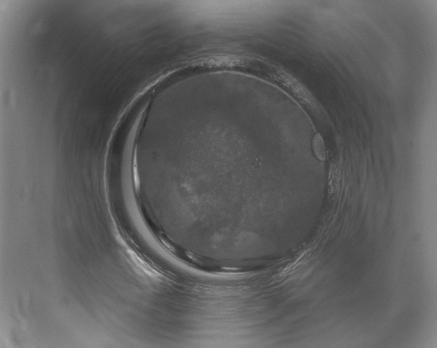 X0000073410722200608040957