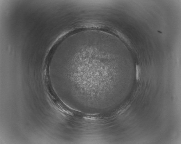 X0000073410723200608040957