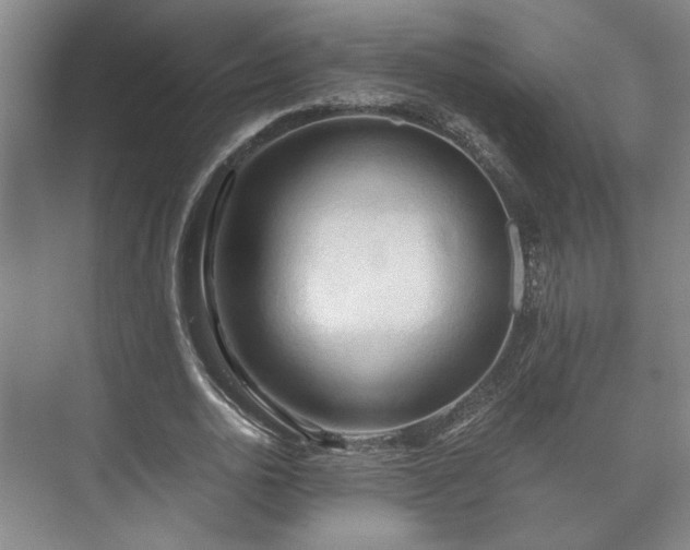 X0000073410726200608040957