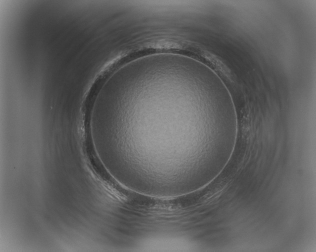 X0000073410727200608040957