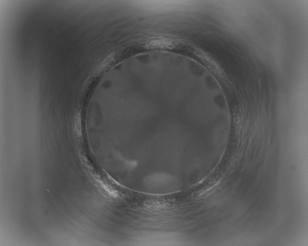 X0000073410729200608040957