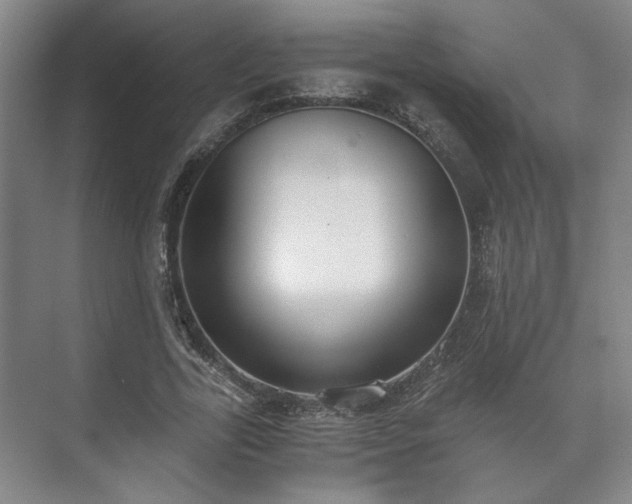 X0000073410731200608040958