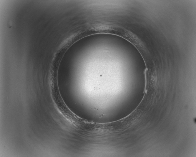 X0000073410732200608040958