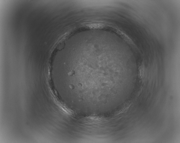 X0000073410733200608040958