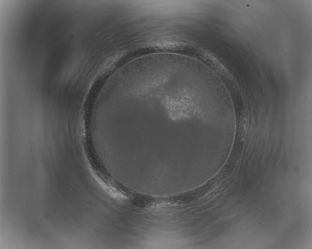 X0000073410734200608040958