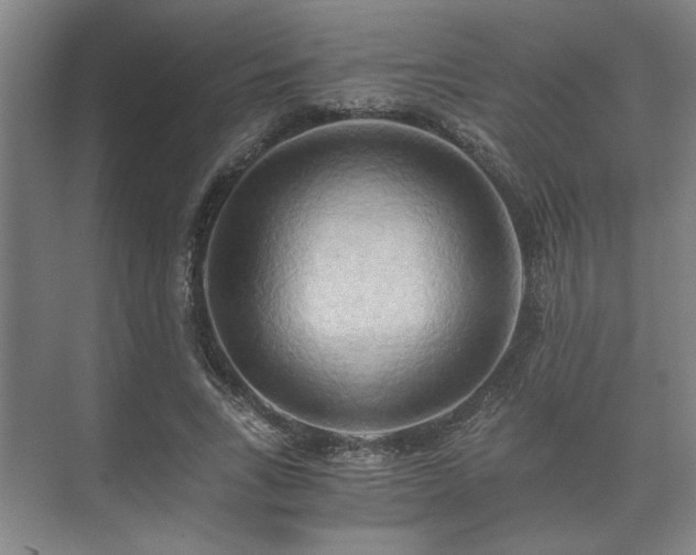 X0000073410735200608040958