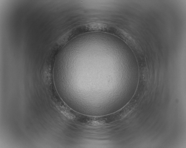 X0000073410737200608040958